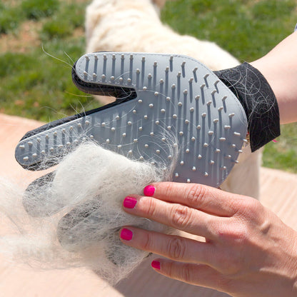 Pet Brush & Massage Glove Relpet